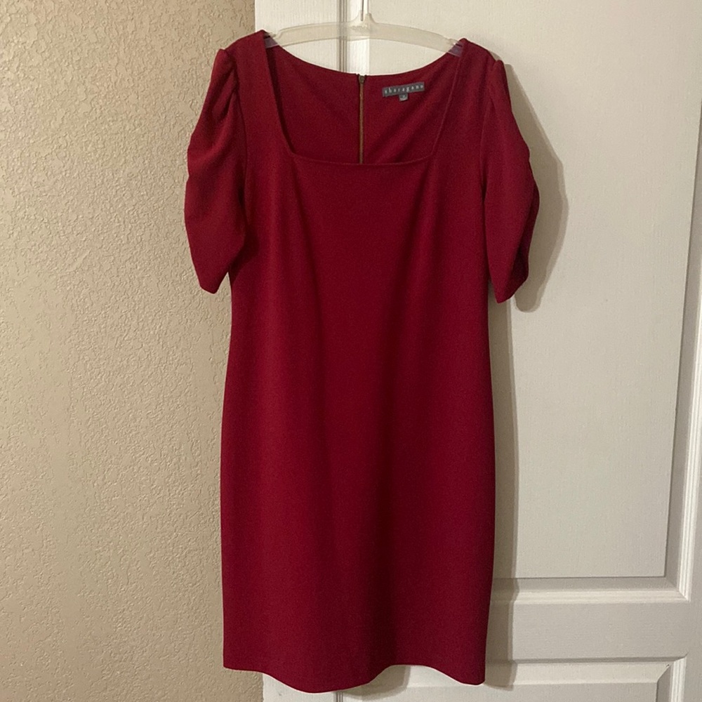 Business Dress Burgundy Red Size 10